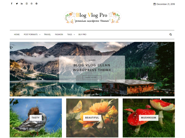 Blog Vlog Pro - Ample Themes